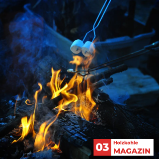 Holzkohle vs. Briketts: Der Ultimative Grillführer